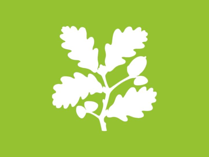 National Trust Holidays