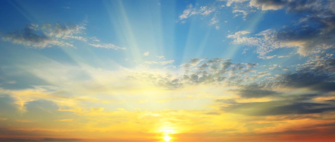 Alpha Travel Insurance